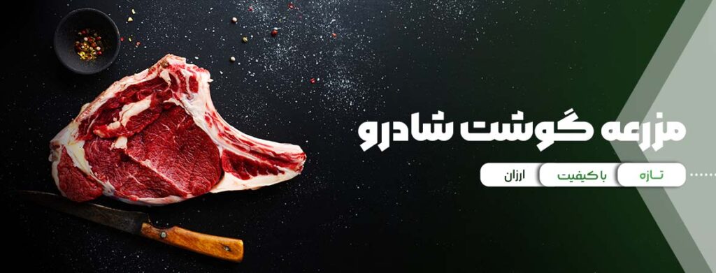 درباره ما 1 شادرو2