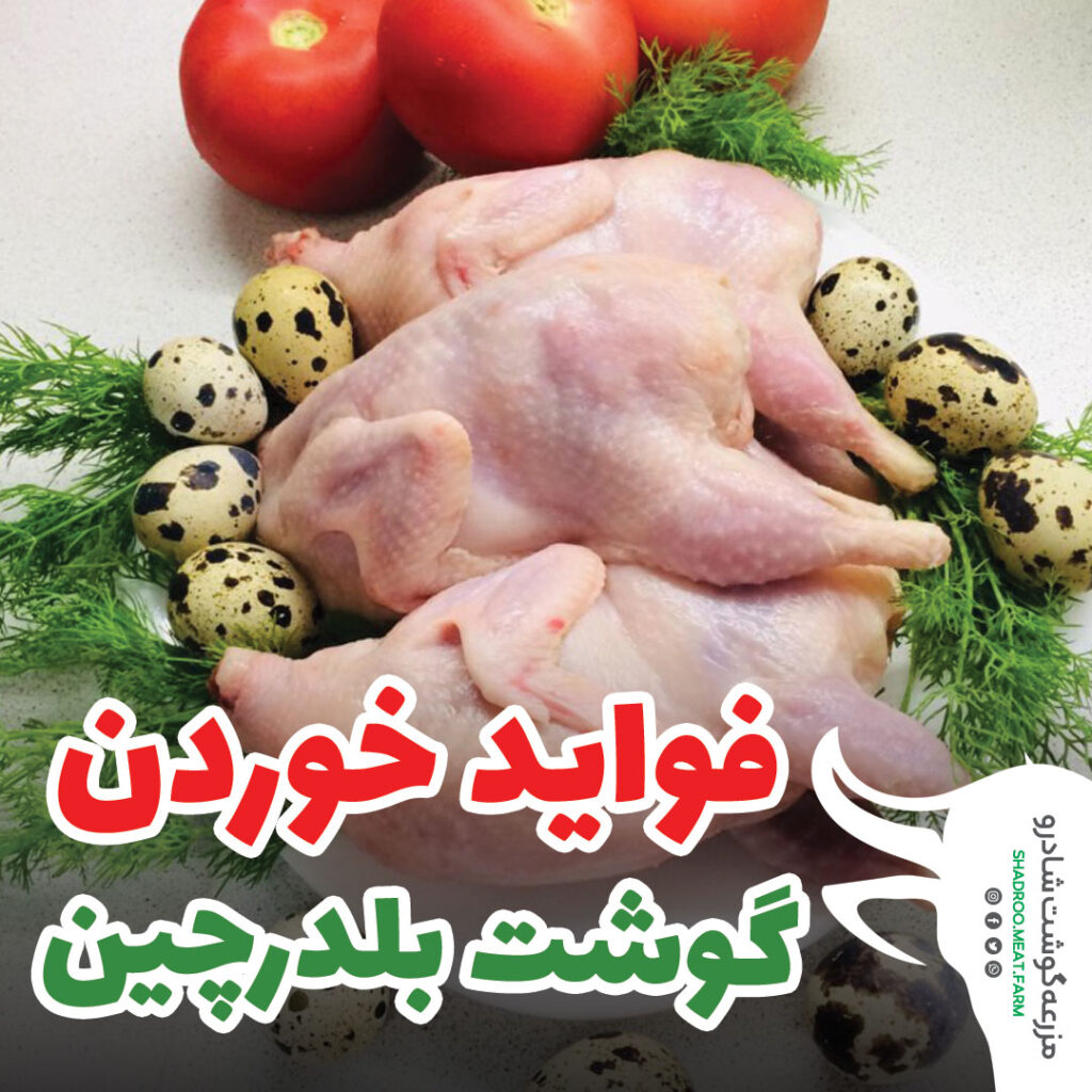 گوشت بلدرچین