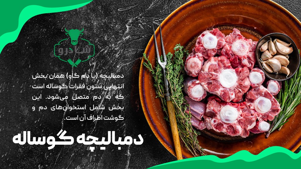 فواید گوشت دمبالیچه گوساله