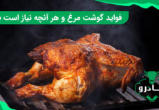 فواید گوشت مرغ